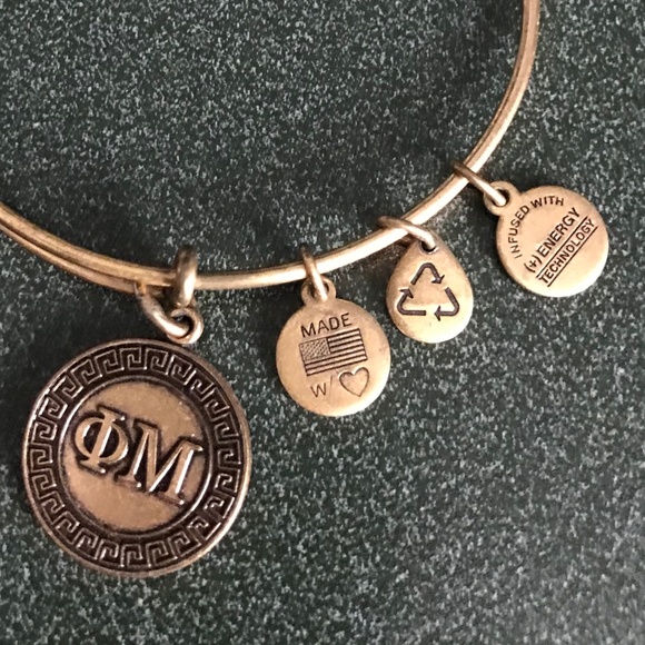 Alex and Ani Expandable Wire Bangle Bracelet 2015 - Picture 8 of 13